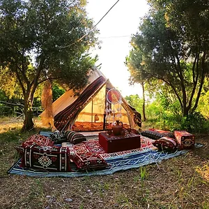  Luxuszelt Butterfly Valley Glamping